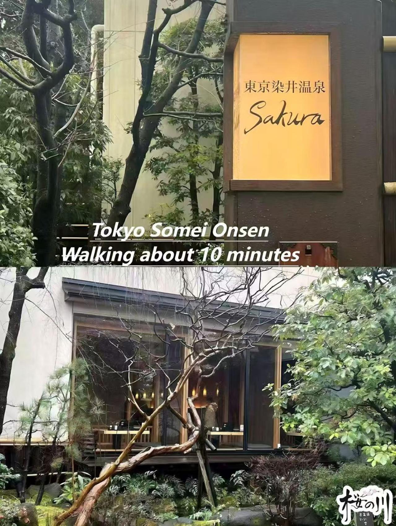 桜の川3 Sugamo Diamond Mansion 105 Direct To Ikebukuro Yamanote Line 5mins Apartamento