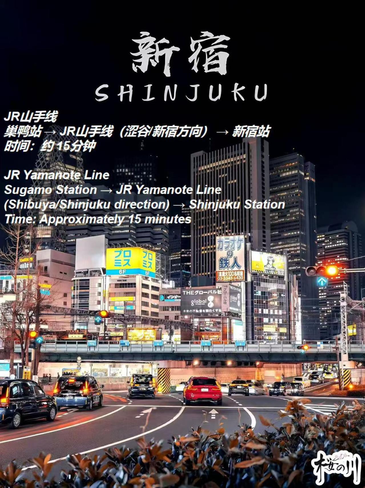桜の川3 Sugamo Diamond Mansion 105 Direct To Ikebukuro Yamanote Line 5mins Apartamento